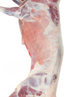 https://www.coasul-br.com/wp-content/uploads/2022/02/Halal-Fresh-Frozen-Goat-meat-carcass-265x331.png